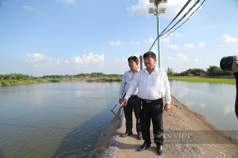 Tu nuoi tom den ca dua, nong dan Can Gio thanh “dai gia” nuc tieng-Hinh-3