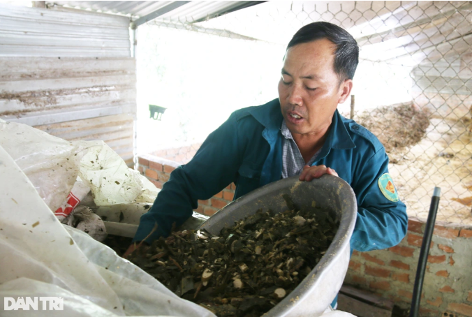 Vo beo bo bang thu cay bo di, lao nong thu 200 trieu dong