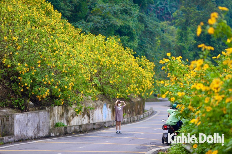 Gioi tre ru nhau di check-in voi hoa da quy tuyet dep tai Ba Vi-Hinh-8