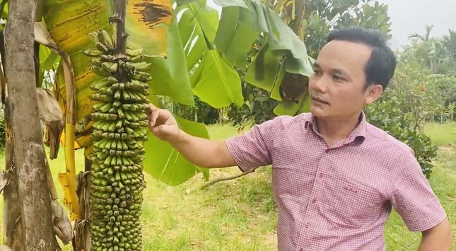 Buong chuoi khung o Quang Ngai 