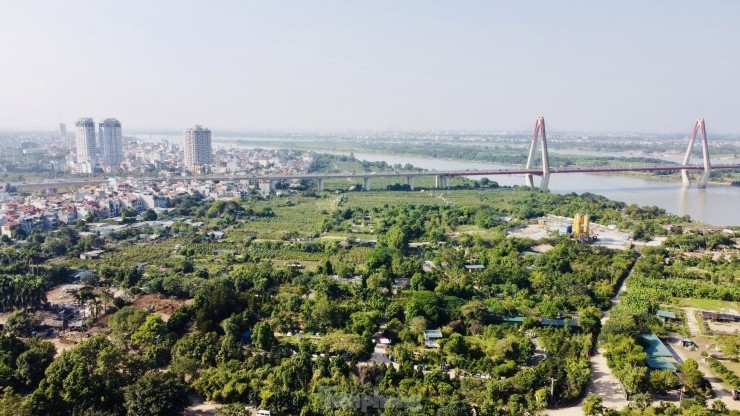 Ha Noi: Kiem bac trieu moi ngay tu viec di danh goc dao thue