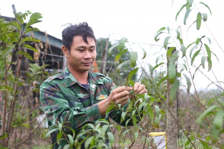 Nguoi trong dao phai tat bat 