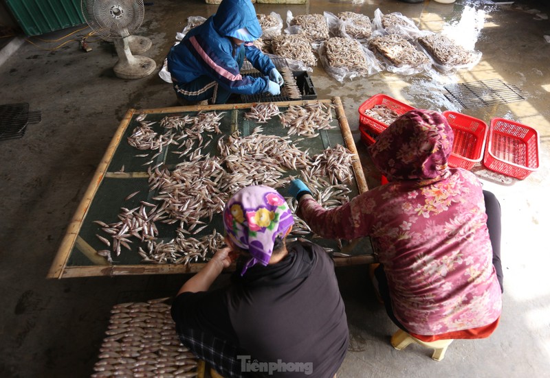 Tat bat lang nuong ca o vung bien Ha Tinh dip giap Tet-Hinh-14