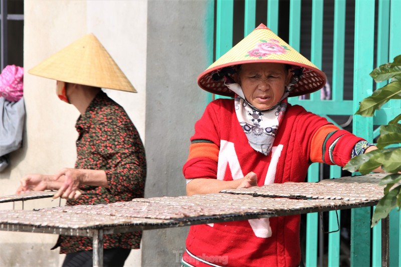 Tat bat lang nuong ca o vung bien Ha Tinh dip giap Tet-Hinh-8