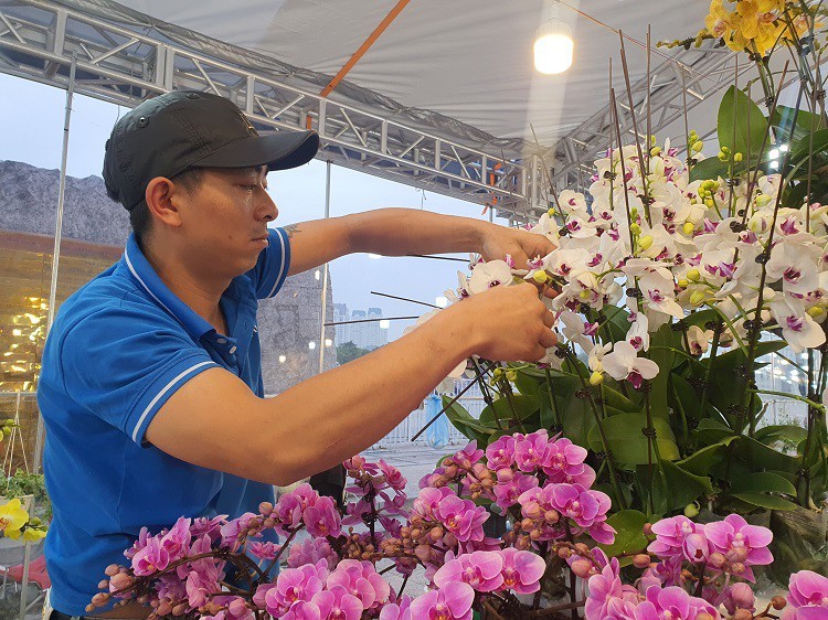 Gan Tet, cong viec nay co the kiem hang chuc trieu dong mot ngay-Hinh-6