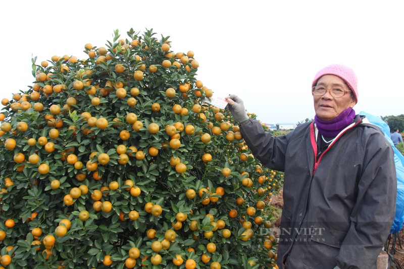 Quat tet  tang gia, lang trong o Nam Dinh duoc vu-Hinh-4