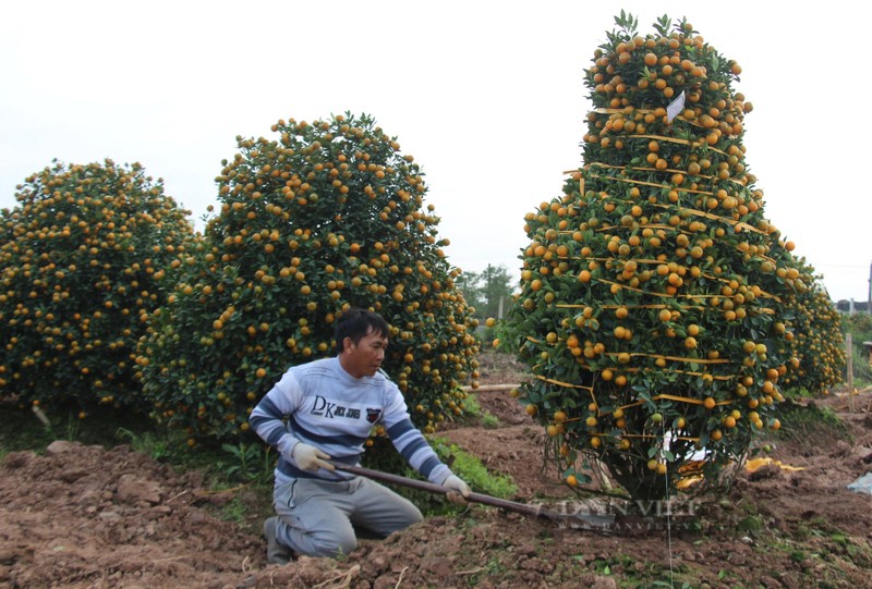 Quat tet  tang gia, lang trong o Nam Dinh duoc vu-Hinh-5