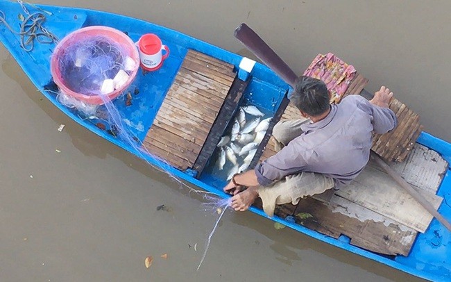 Gia kho muc, gia tom kho hien o Kien Giang tang tu 20-100.000 dong/kg-Hinh-3