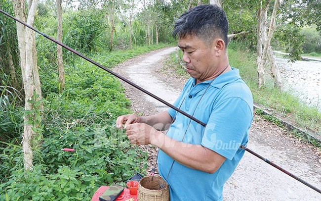 Gia kho muc, gia tom kho hien o Kien Giang tang tu 20-100.000 dong/kg-Hinh-4