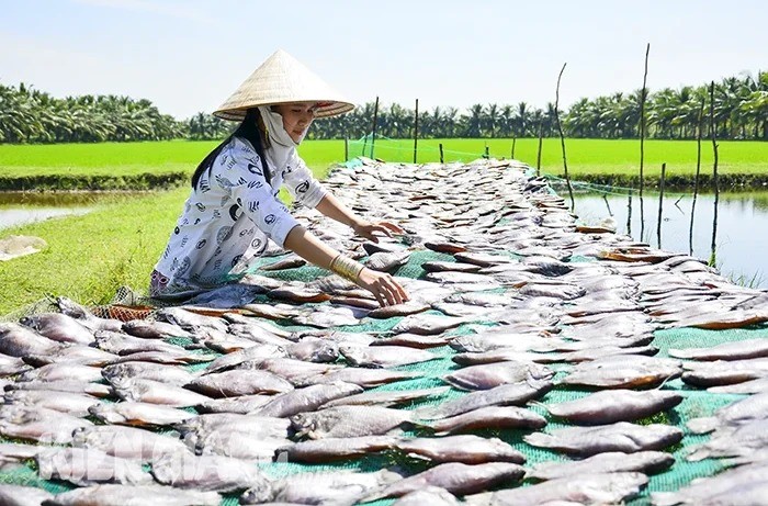 Gia kho muc, gia tom kho hien o Kien Giang tang tu 20-100.000 dong/kg