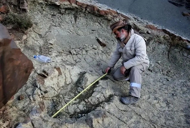 View - 	Dấu chân khủng long khổng lồ từ hàng trăm triệu năm trước