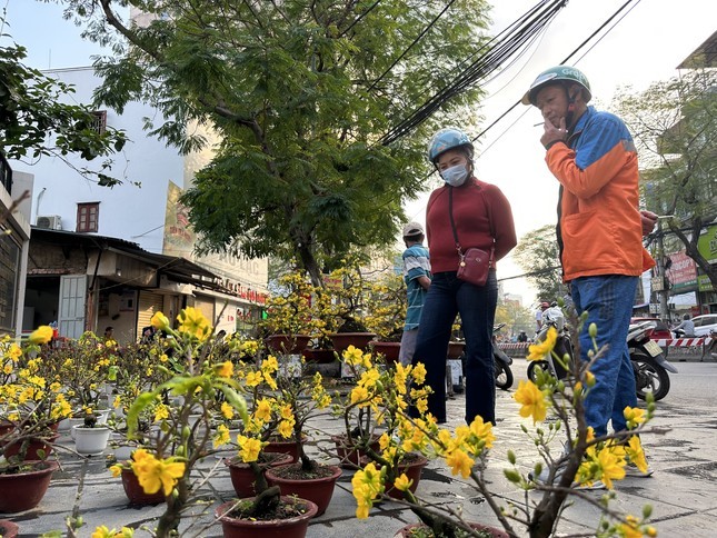 Nguoi Ha Noi nuom nuop di sam Tet-Hinh-6