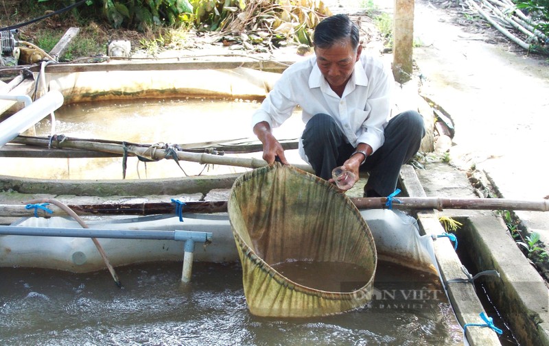 Ong nong dan cuu loai ca suyt tuyet chung, gio gia moi con tien trieu