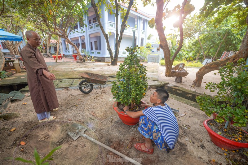 Binh yen chua Truong Sa tren dao thieng-Hinh-5