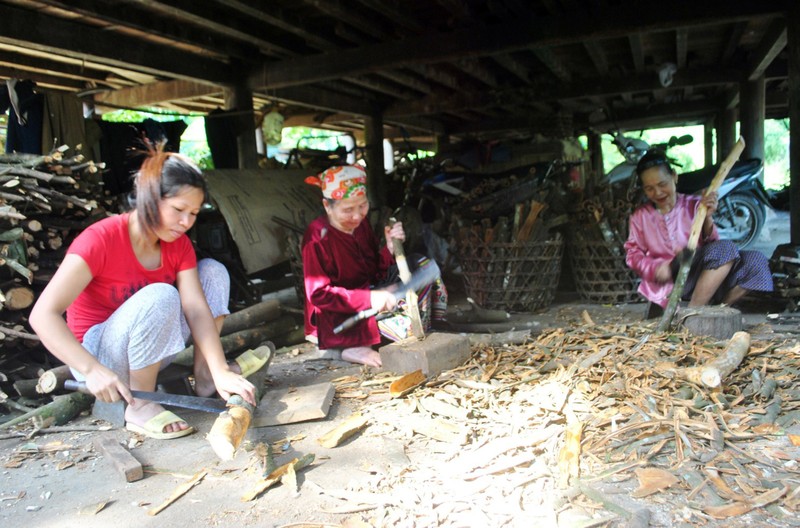 Khat vong doi doi cung cay “dac san” tren dat Que Phong-Hinh-2