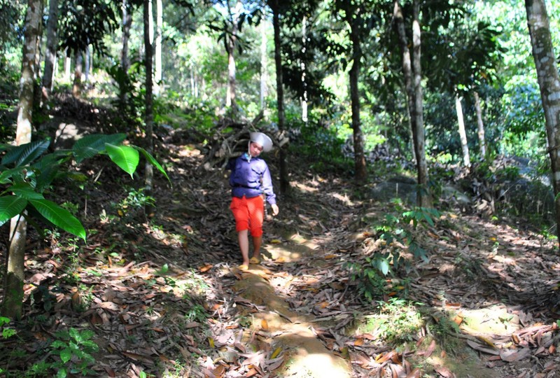 Khat vong doi doi cung cay “dac san” tren dat Que Phong-Hinh-3