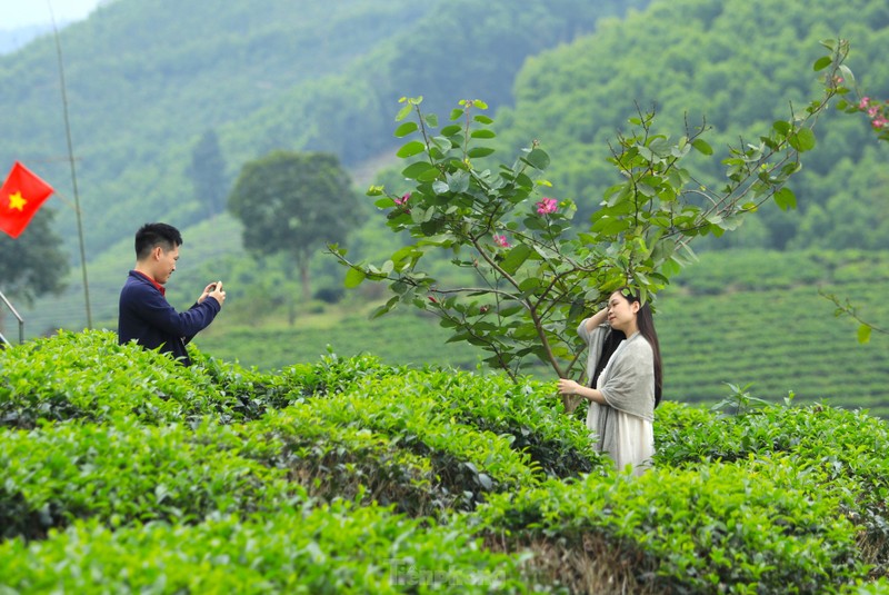 Gioi tre nuom nuop den check in 'Vinh Ha Long xu Nghe'-Hinh-14