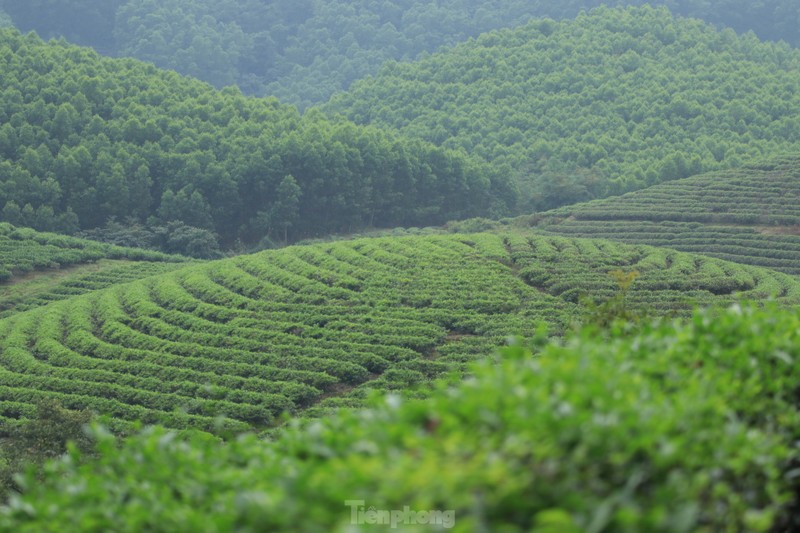 Gioi tre nuom nuop den check in 'Vinh Ha Long xu Nghe'-Hinh-6