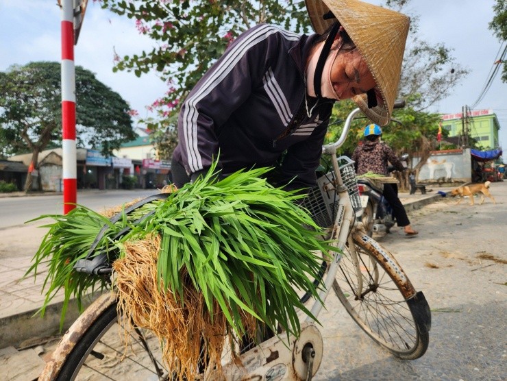 Doc la phien cho ban ma non mot nam hop vai ngay o Nghe An-Hinh-16