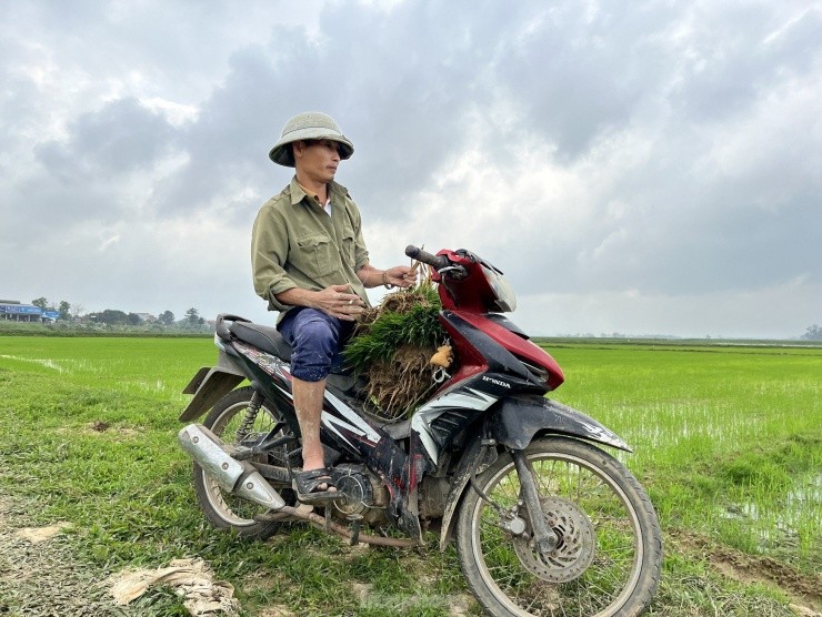 Doc la phien cho ban ma non mot nam hop vai ngay o Nghe An-Hinh-22