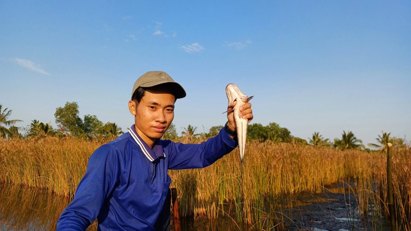 Sau Tet, nong dan Ca Mau tha cau bat ca loc dong thu ve nua trieu/ngay-Hinh-3