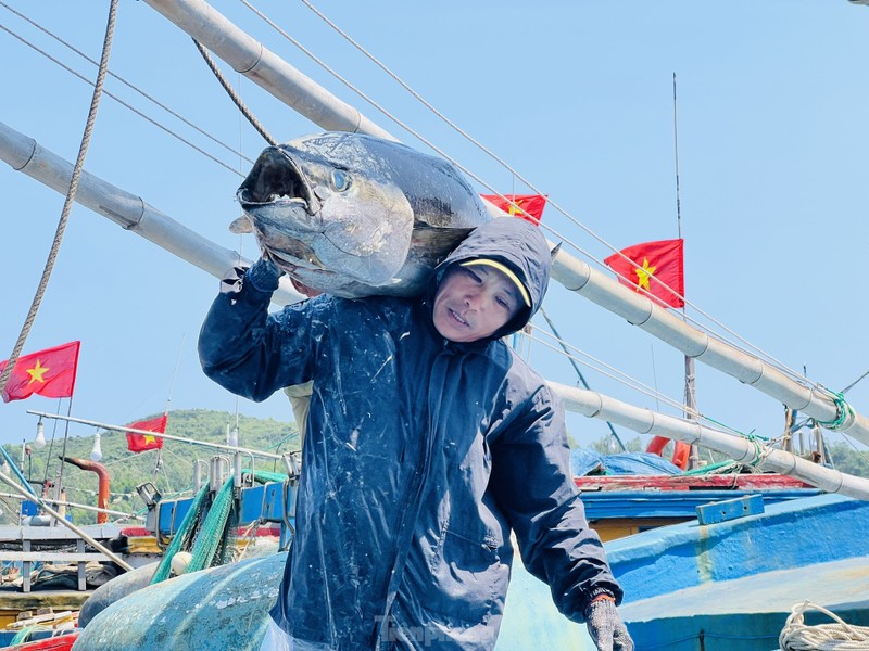 Vui buon ngu dan Quang Ngai xuyen Tet tren bien tro ve-Hinh-8