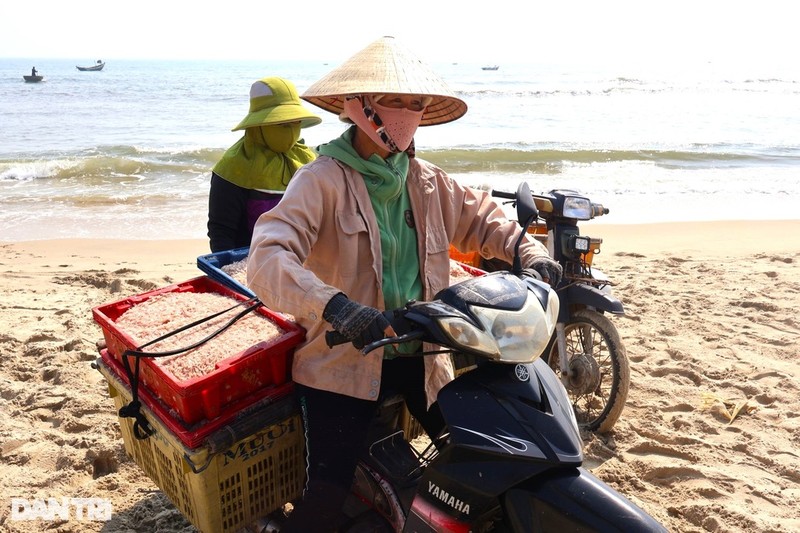 Danh manh bat ruoc ngoai khoi, ngu dan dem tien deu tay-Hinh-2