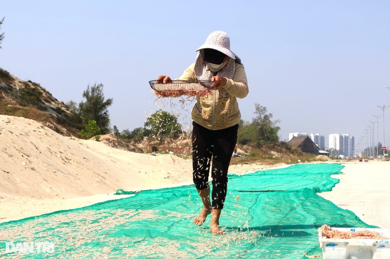 Danh manh bat ruoc ngoai khoi, ngu dan dem tien deu tay-Hinh-4