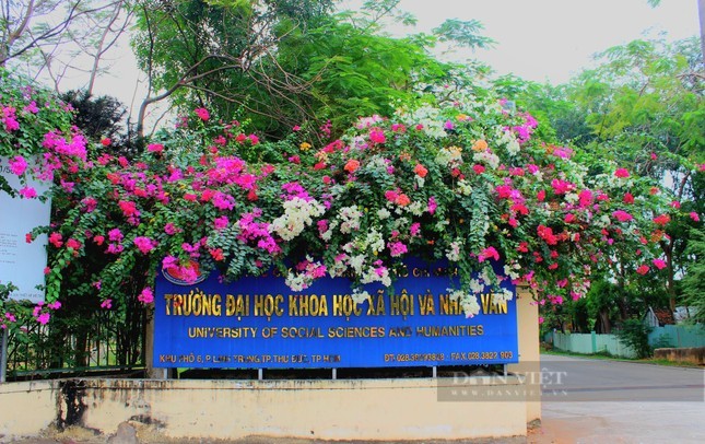 Tram tro con duong hoa giay dep nhu phim o TPHCM-Hinh-10