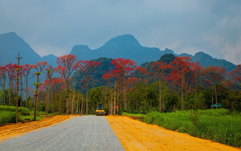 Nhung chum hoa gao do ruc vung que xu Nghe dep den nao long-Hinh-2