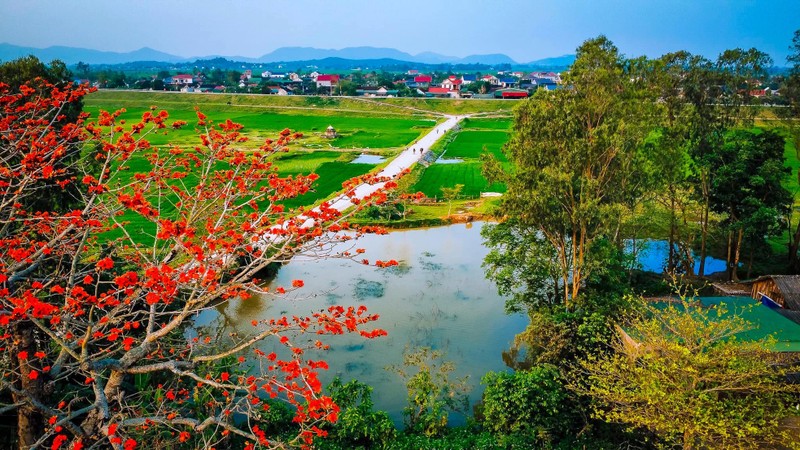 Nhung chum hoa gao do ruc vung que xu Nghe dep den nao long-Hinh-7