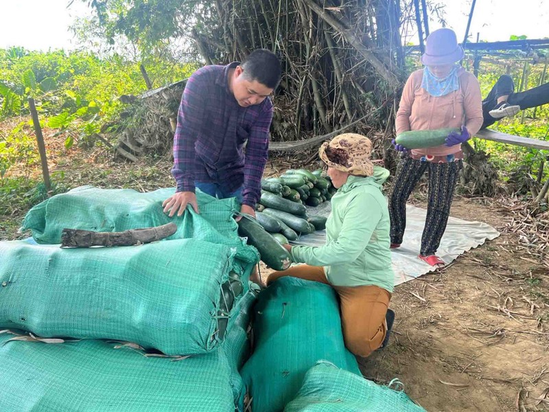 Nong dan Quang Nam lao dao voi bi dao-Hinh-6