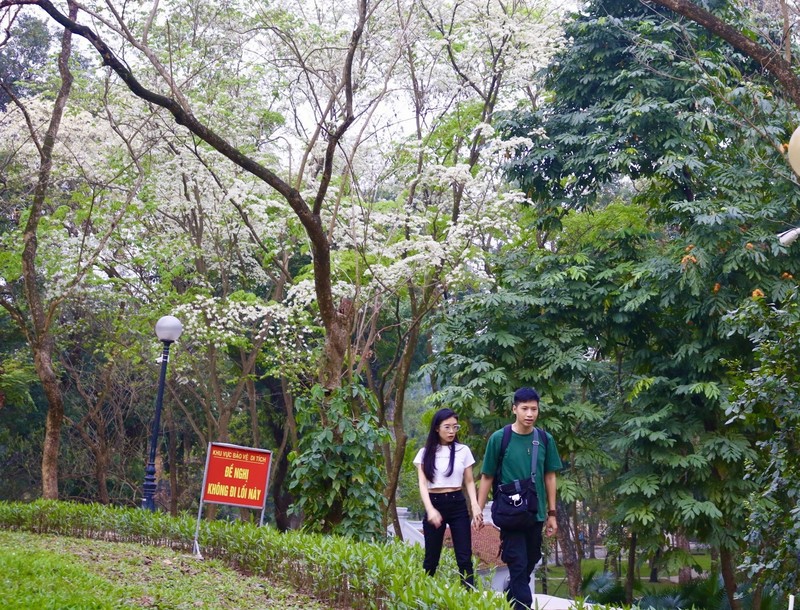 Goc pho Ha Noi nhu 