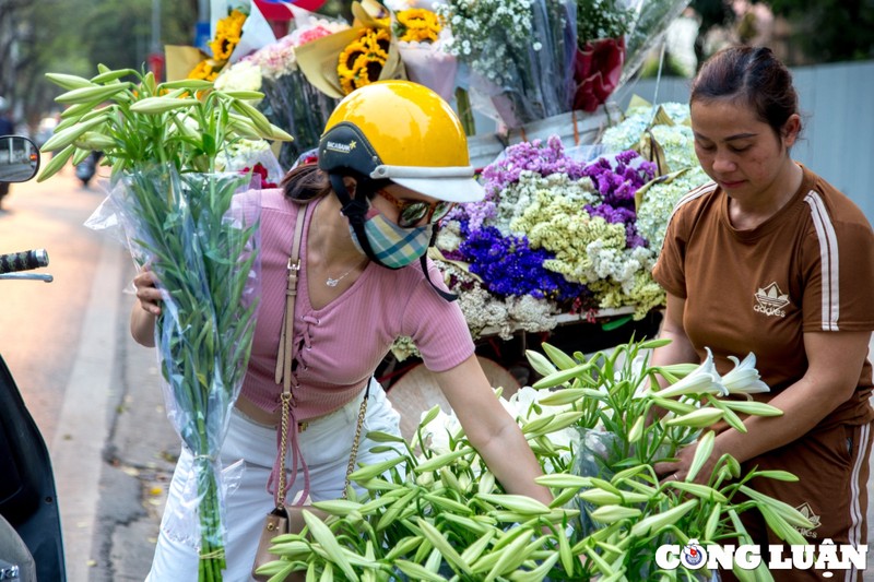 Hoa loa ken khoe sac trang tinh khoi giua pho phuong Ha Noi-Hinh-8