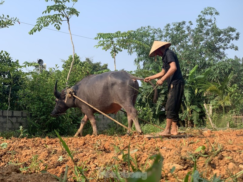 Nong dan vat va muu sinh giua nang nong dinh diem-Hinh-10