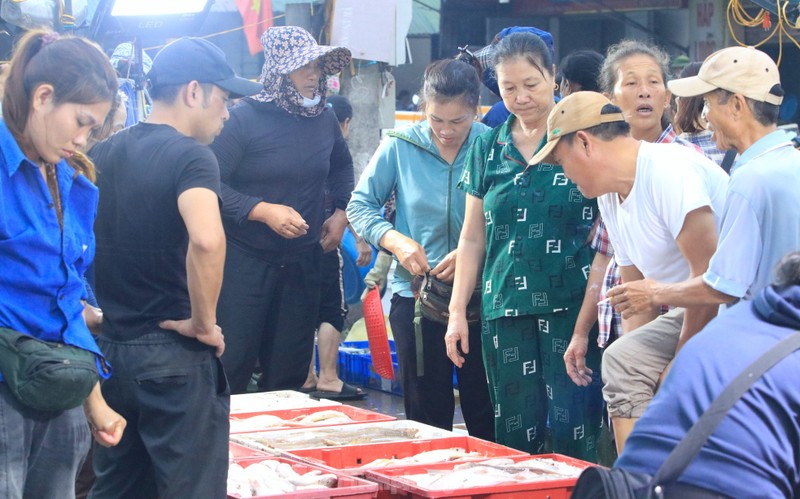 Nhon nhip ben ca Nghi Thuy luc binh minh-Hinh-14