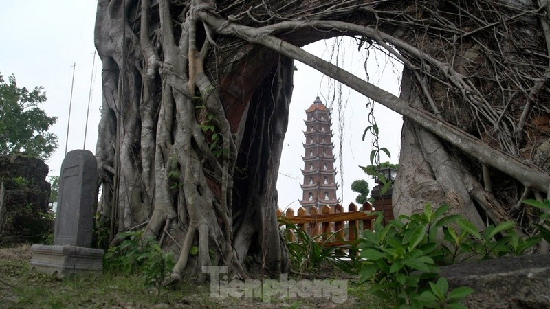 Ngoi chua tren 700 nam tuoi o Quang Binh-Hinh-7