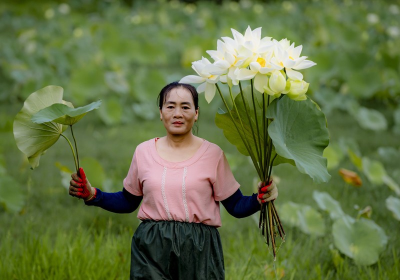 Thieu nu xu Hue tao dang cung hoa sen mua ha dep nao long-Hinh-13