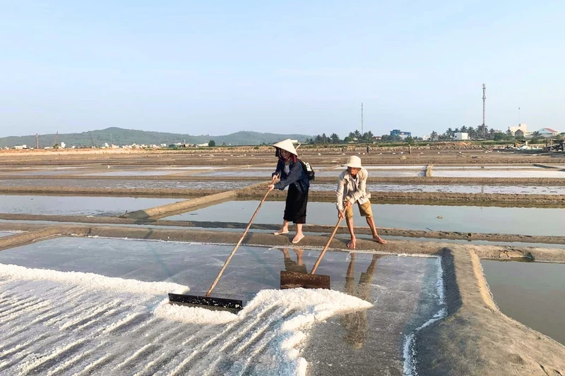 Nhung dia diem khong the bo qua khi den Quang Ngai-Hinh-7