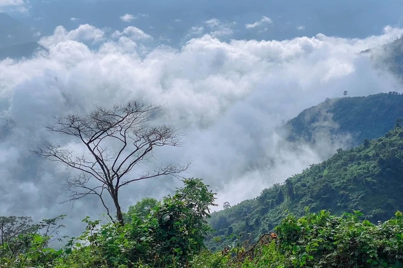 Nhung dia diem khong the bo qua khi den Quang Ngai