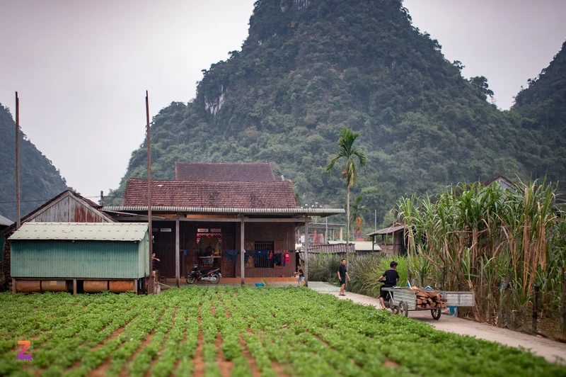 “Ngoi lang du lich tot nhat the gioi” tai ron lu Quang Binh-Hinh-3