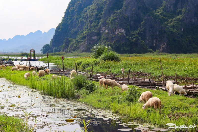 Kham pha khu bao ton dat ngap nuoc Van Long-Hinh-10