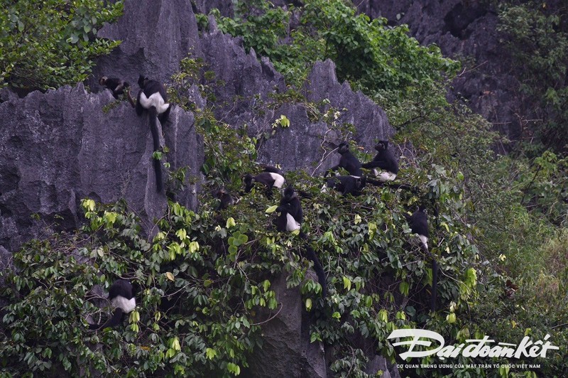 Kham pha khu bao ton dat ngap nuoc Van Long-Hinh-4