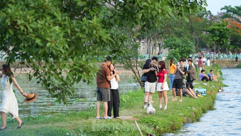 Ngam hoang hon, check-in cay bang lang ben dam sen Ho Tay-Hinh-15