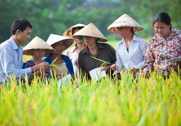 Quan ly thuoc bao ve thuc vat dat nhieu buoc tien noi bat-Hinh-2