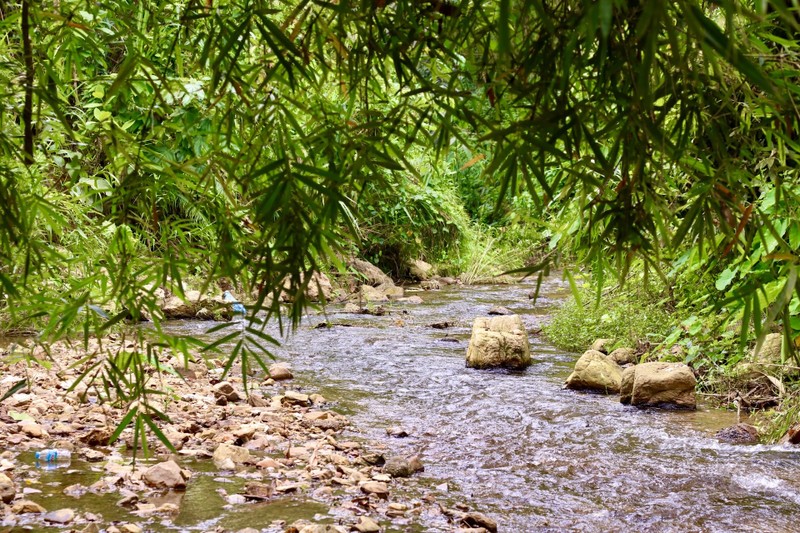 Gioi tre ru nhau len nui tranh nong: An ga nuong, uong ca phe ben suoi-Hinh-2