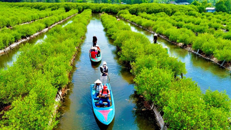 Kham pha rung ngap man Bau Ca Cai o Quang Ngai-Hinh-2