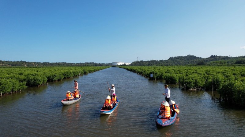 Kham pha rung ngap man Bau Ca Cai o Quang Ngai-Hinh-4