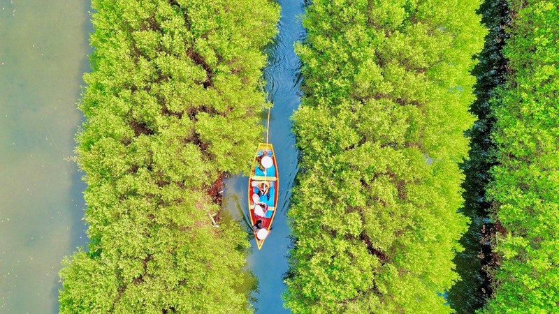 Kham pha rung ngap man Bau Ca Cai o Quang Ngai-Hinh-6