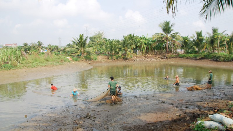 Dong Nai: Lac vao 